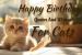 Birthday Cat Quotes
