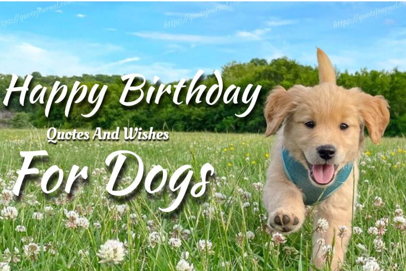 Birthday Dog Quotes