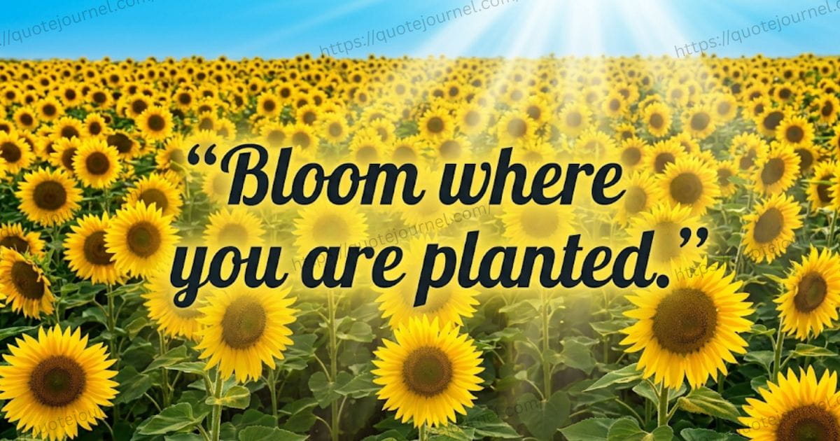 Inspirational Quotes About Flower