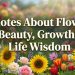 Flowers have always held a special place in human emotions, symbolizing beauty, growth, and the fleeting nature of life. That’s why quotes about flower resonate deeply with people across cultures and generations. Whether you’re celebrating a new beginning or healing from a difficult phase, quotes about flower can offer comfort, hope, and perspective. These simple yet meaningful expressions remind us that life, much like nature, goes through cycles of bloom and rest. In everyday life, quotes about flower are often used in messages, social media captions, or personal reflections because they capture complex emotions in a soft, natural way. From roses symbolizing love to sunflowers representing positivity, quotes about flower connect us with deeper meanings. This article brings you original and heartfelt quotes along with practical insights, helping you experience the emotional and inspirational power of quotes about flower in your daily life. Importance of Quotes About Flower Quotes about flower matter because they reflect the emotional journey of life in a simple and relatable way. Just like flowers grow through soil, sunlight, and storms, quotes about flower remind us that growth often comes through challenges. These words can uplift someone who feels lost or inspire someone who is working toward a goal. In moments when emotions are hard to express, quotes about flower provide clarity and comfort. Another reason why quotes about flower are important is their universal appeal. No matter your age or background, the beauty of flowers and the wisdom behind quotes about flower can be understood easily. They encourage mindfulness, helping people slow down and appreciate small moments. Whether shared with loved ones or kept as personal reminders, quotes about flower strengthen emotional connections and bring positivity into everyday life. Inspirational Quotes About Flower Flowers teach us that growth takes time, and quotes about flower capture this lesson beautifully. “A flower doesn’t rush to bloom; it trusts its season.” “Even the smallest flower can brighten the darkest path.” “Growth is silent, just like a flower opening to the sun.” “A flower blooms not to compete, but to express itself.” “Let your life unfold like petals in the morning light.” These quotes about flower remind us that patience and self-belief are essential. Life doesn’t always move fast, but quotes about flower encourage us to trust the process. When you feel stuck, remember that even flowers take time to blossom, and quotes about flower can serve as daily motivation. Deep & Meaningful Quotes About Flower Sometimes, deeper emotions need thoughtful words, and quotes about flower offer that depth. “A flower’s beauty lies not in its perfection, but in its brief existence.” “Like flowers, we are meant to grow through what we go through.” “A fading flower still carries the memory of its bloom.” “Every flower tells a story of survival and hope.” “Life is a garden, and every flower is a chapter.” These quotes about flower reflect life’s deeper truths—growth, change, and impermanence. They remind us to appreciate moments while they last. Through quotes about flower, we learn that even temporary beauty has lasting meaning. Short & Powerful Quotes About Flower Sometimes, simplicity carries the strongest message, and quotes about flower prove that. “Bloom where you are planted.” “Stay wild, grow free.” “Petals speak what words cannot.” “Bloom with grace.” “Nature whispers through flowers.” These short quotes about flower are perfect for daily inspiration. Whether used as captions or affirmations, quotes about flower bring quick yet powerful reminders to stay positive and grounded. Tips Related to Flowers 1. Appreciate Natural Beauty Daily Take a moment each day to observe flowers around you. Just like quotes about flower inspire mindfulness, noticing real flowers can reduce stress and increase happiness. 2. Grow Your Own Plants Planting flowers at home creates a sense of responsibility and peace. It connects you with nature and reflects the meaning behind quotes about flower—growth and patience. 3. Use Flowers for Emotional Expression Flowers can communicate feelings when words fall short. Pairing them with quotes about flower makes your message even more meaningful and heartfelt. 4. Capture Flower Moments Photography of flowers can be therapeutic. It helps you see beauty in small things, just like quotes about flower teach appreciation for simple joys. 5. Learn Flower Symbolism Different flowers carry different meanings. Understanding them adds depth when sharing quotes about flower and makes your expressions more thoughtful. 6. Decorate Your Space with Flowers Fresh or artificial flowers can uplift your mood. They create a calm environment and align with the peaceful essence of quotes about flower. Conclusion Flowers are more than just beautiful creations—they are powerful symbols of life, resilience, and transformation. Through quotes about flower, we find inspiration to grow, heal, and appreciate the present moment. These quotes remind us that even in difficult times, beauty and hope can still bloom. By reflecting on quotes about flower, you can bring positivity into your daily routine and share meaningful emotions with others. Whether you’re looking for inspiration, comfort, or a simple reminder to stay strong, quotes about flower offer timeless wisdom. Let these words guide you to live gently, grow patiently, and bloom fully in your own unique way.