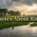 Quotes about Rain