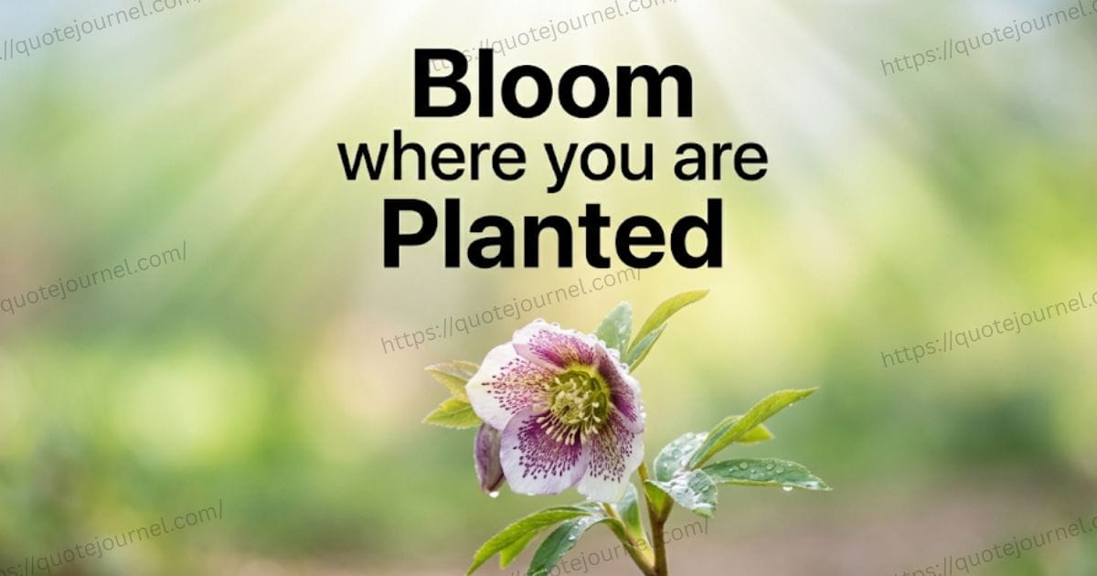 Inspirational Spring Quotes